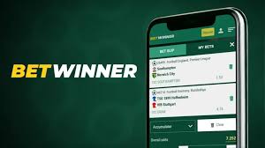 BetWinner Sportsbook Your Gateway to Exciting Betting